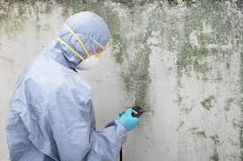 Mold Remediation for Rental Properties in Nyssa, OR